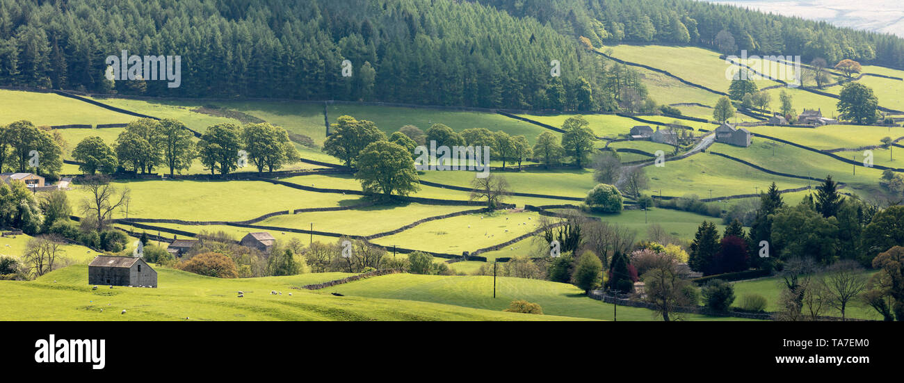 Howgill vicino Appletreewick, panorama, verde campi soleggiati sotto Simon's Seat in Wharfedale, North Yorkshire, Inghilterra. Foto Stock
