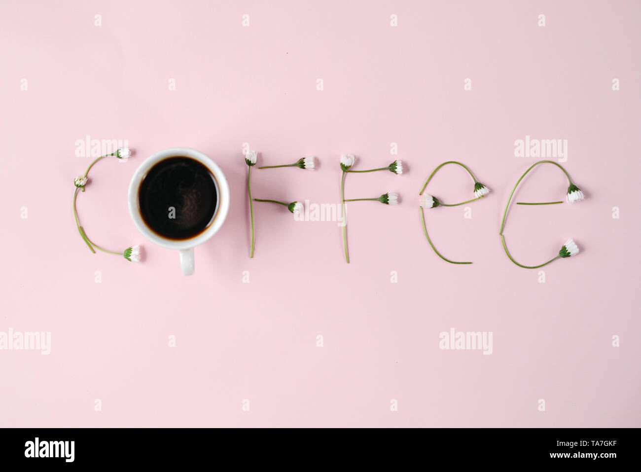 "Caffè' fatto di fiori di camomilla e la tazza di caffè su sfondo rosa. Concetto creativo. Appartamento laico, vista dall'alto, spazio di copia Foto Stock