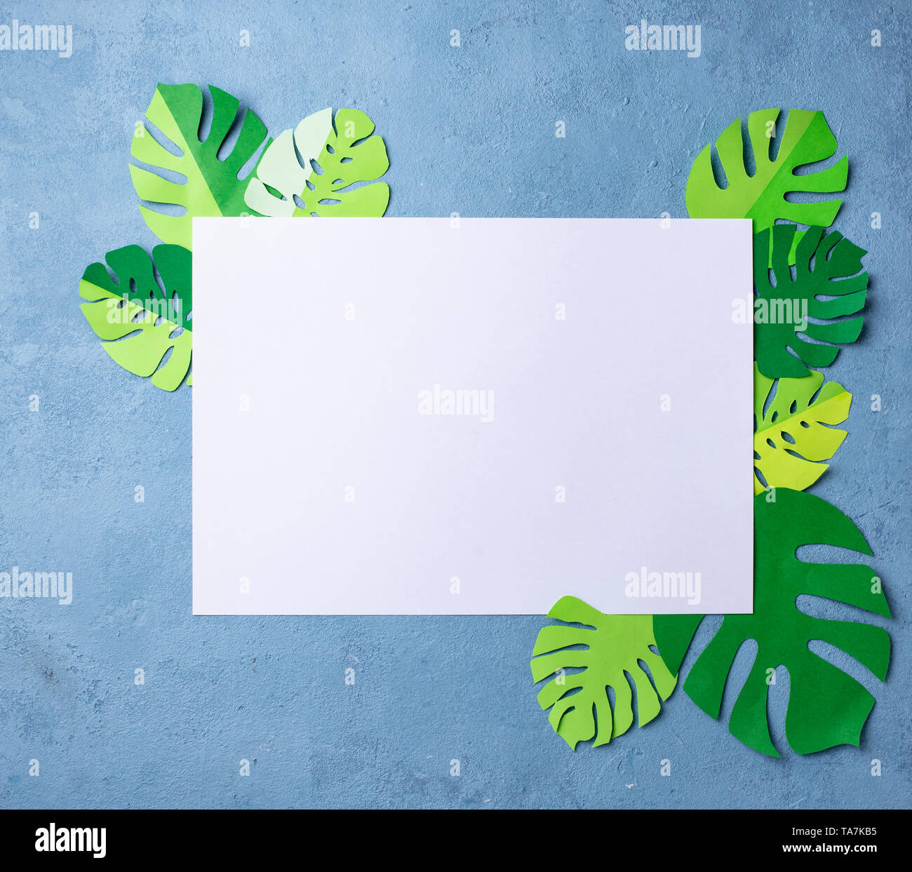 Sfondo tropicale con foglie di palmo monstera dalla carta Foto Stock