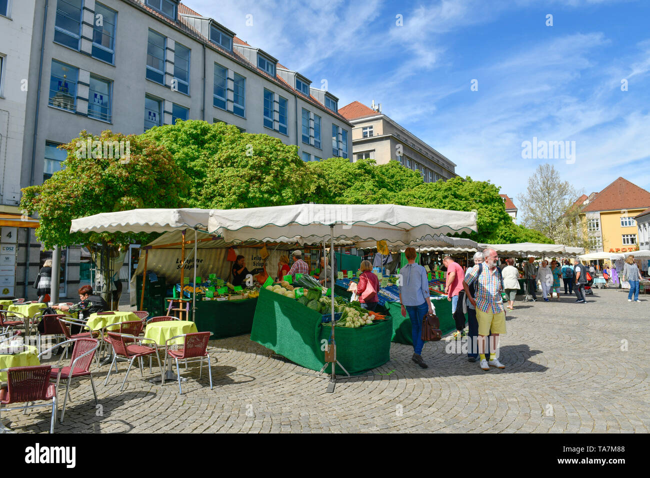 Mercato settimanale, mercato, Città Vecchia, Spandau, Berlino, Germania, Wochenmarkt, Marktplatz, Altstadt, Deutschland Foto Stock