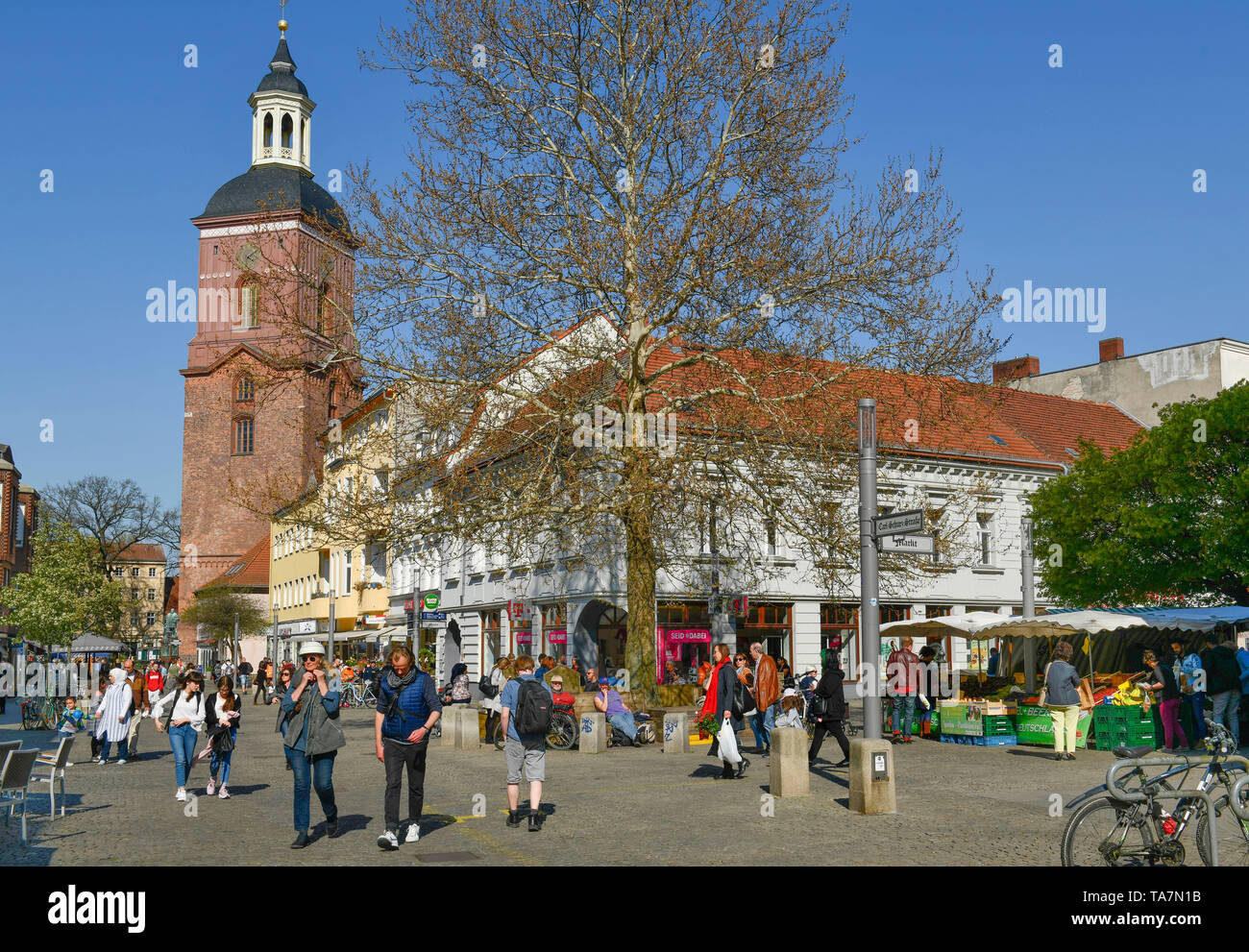 Pelican crossing, Einkaufstrasse, Carl grembiule Street, Città Vecchia, Spandau, Berlino, Germania, Fußgängerzone, Einkaufstraße, Carl-Schurz-Straße, Altstadt, D Foto Stock