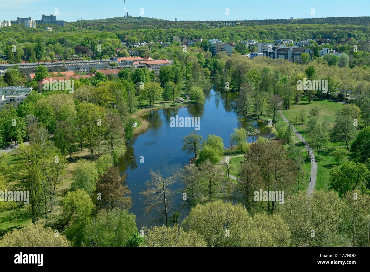 South Park pond, Wilhelm's Town, Spandau, Berlino, Germania, Südparkteich, Wilhelmstadt, Deutschland Foto Stock