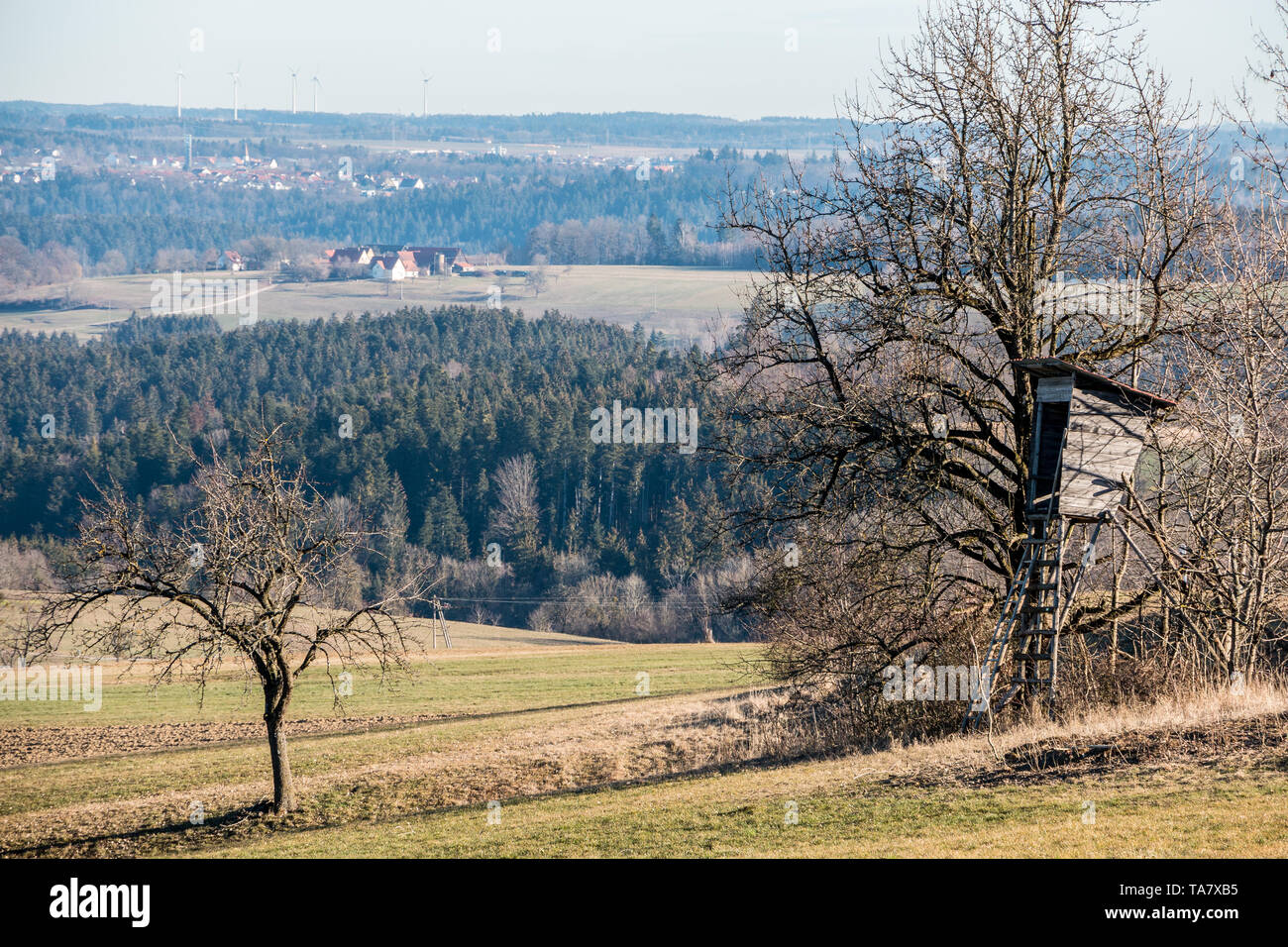 Nascondi sollevata sul campo con la foresta intorno Foto Stock