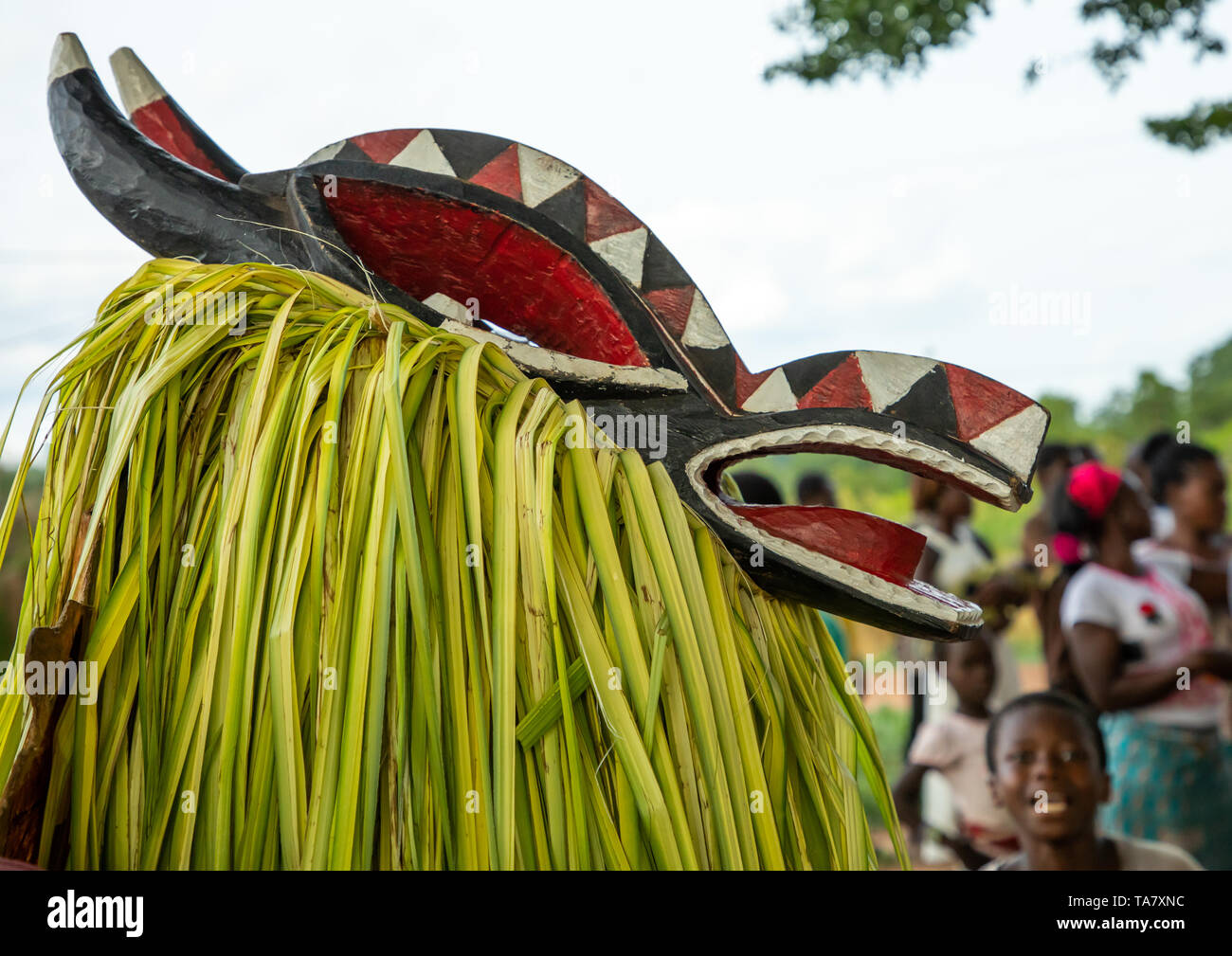 Goli maschera sacra danza nel baule tribù durante una cerimonia, Région des Lacs, Bomizanbo, Costa d'Avorio Foto Stock