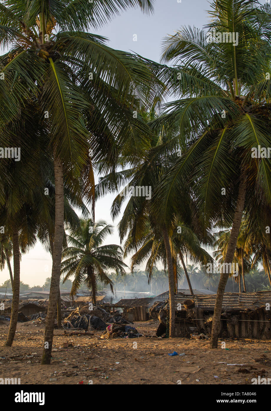 N'zima villaggio di pescatori sotto gli alberi di palma, Sud-Comoé, Grand-Bassam, Costa d'Avorio Foto Stock