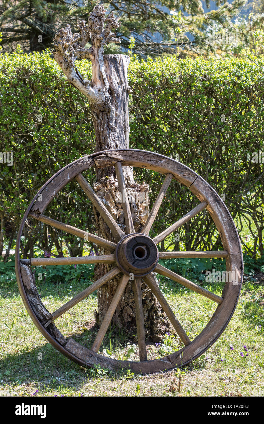 Ruota in legno di un allenatore di posta nel giardino verde Foto Stock