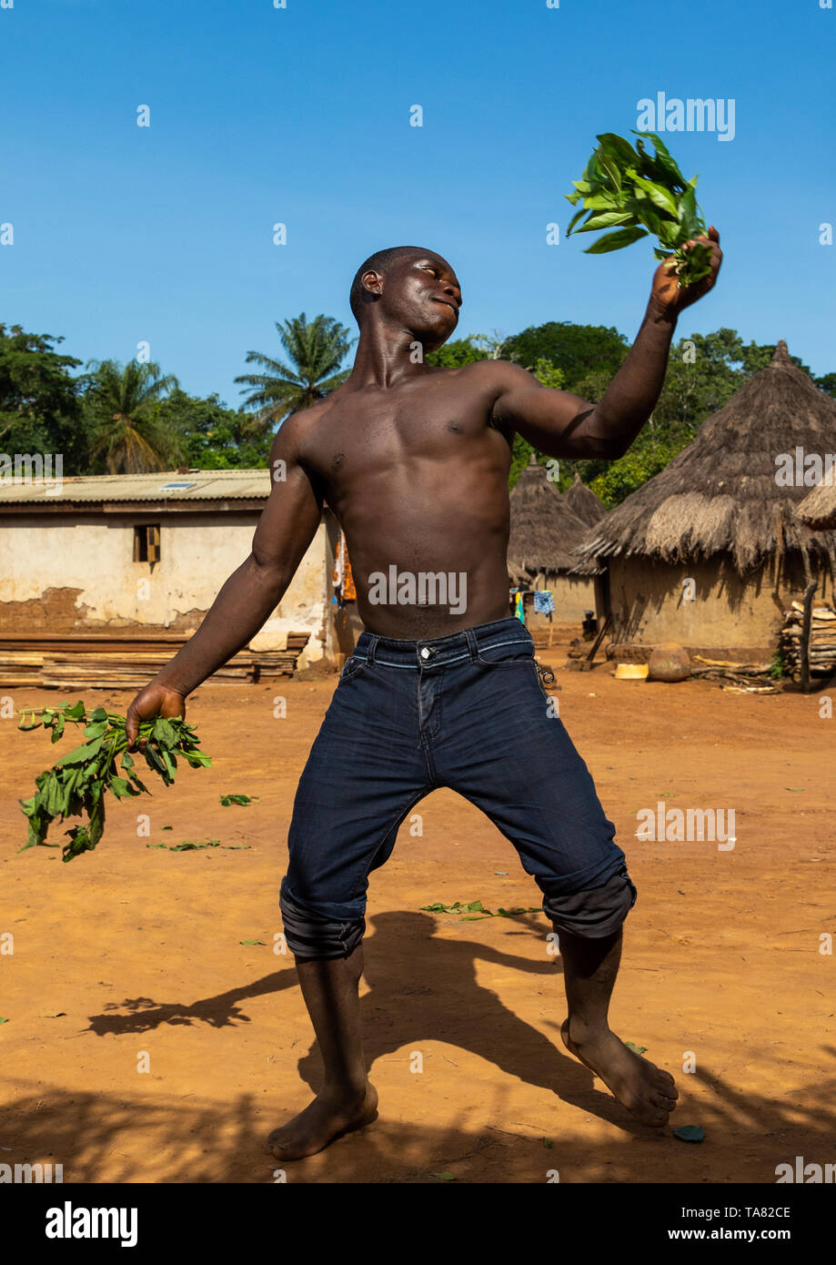 Dan tribe uomo ballando con foglie durante una cerimonia, Bafing, Gboni, Costa d'Avorio Foto Stock