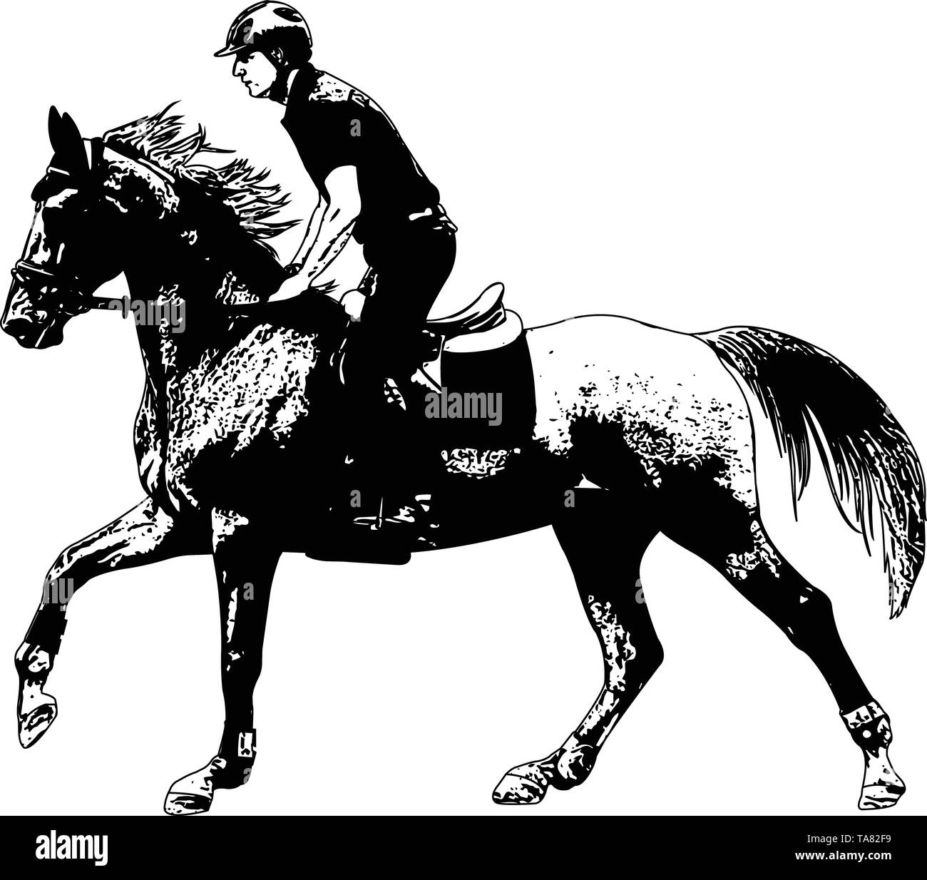 Giovane cavaliere a cavallo cavallo elegante disegno illustrazione vettoriale Illustrazione Vettoriale