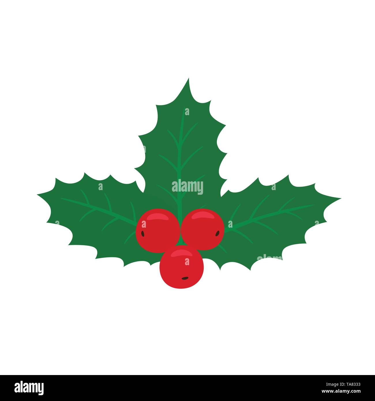 Un Natale holly berry vischio una pianta che cresce su una vasta gamma di alberi tra cui willow apple e alberi di quercia con bacche rosse e grandi foglie verdi Illustrazione Vettoriale