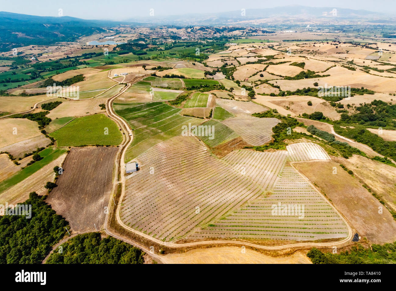 Azienda agricola biologica, antenna, regione di Marmara, Turchia Foto Stock