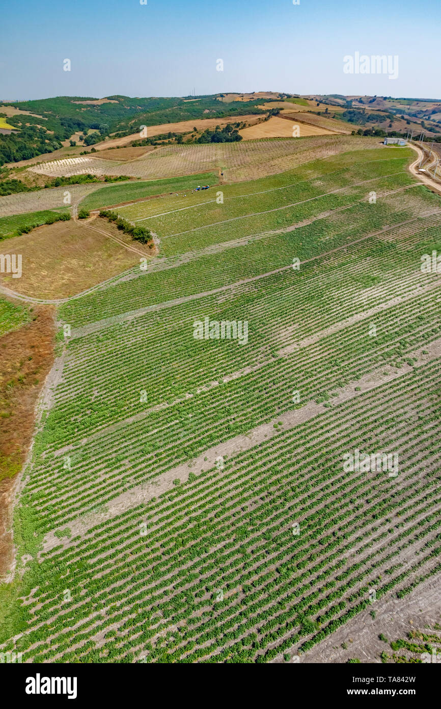 Azienda agricola biologica, antenna, regione di Marmara, Turchia Foto Stock