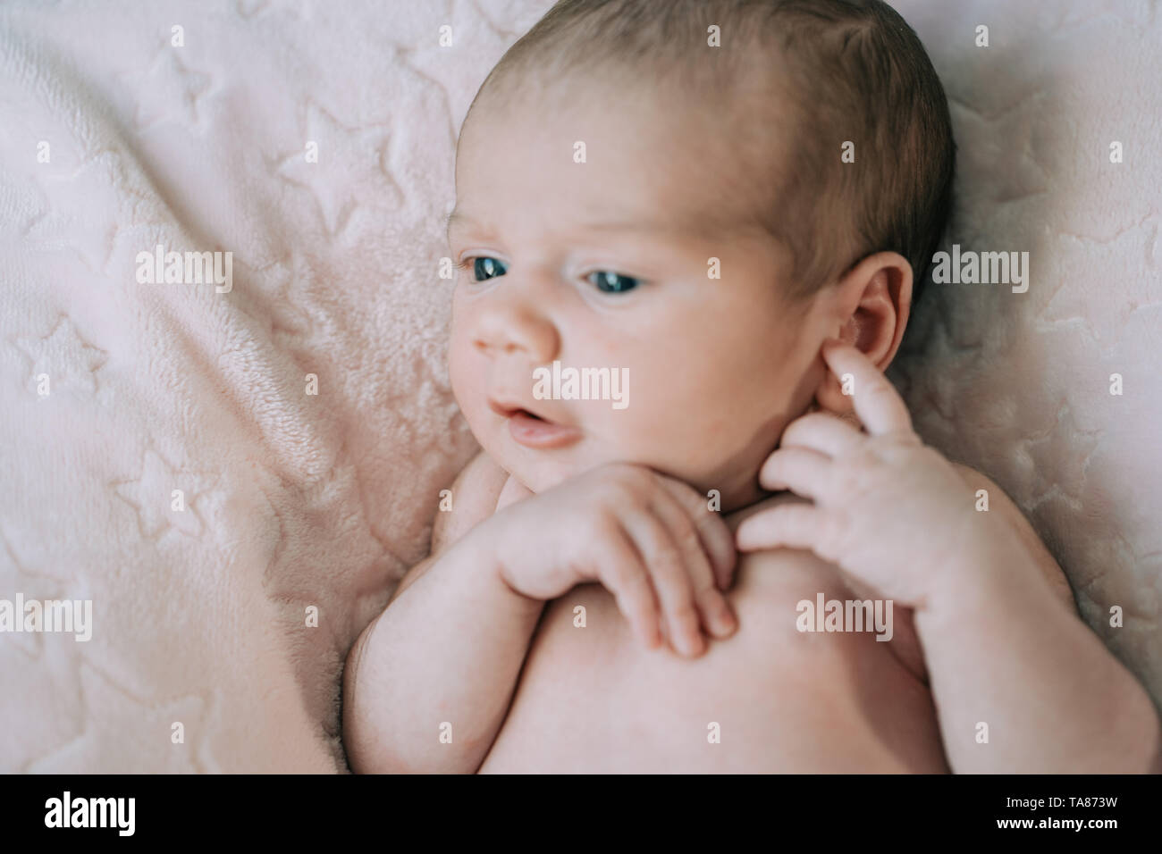 Carino adorabile neonato ragazza in un letto e avvolto in rosa coperta. Nuovo nato bambino e bambina guardando sorpreso per la fotocamera. Famiglia, vita nuova, Foto Stock