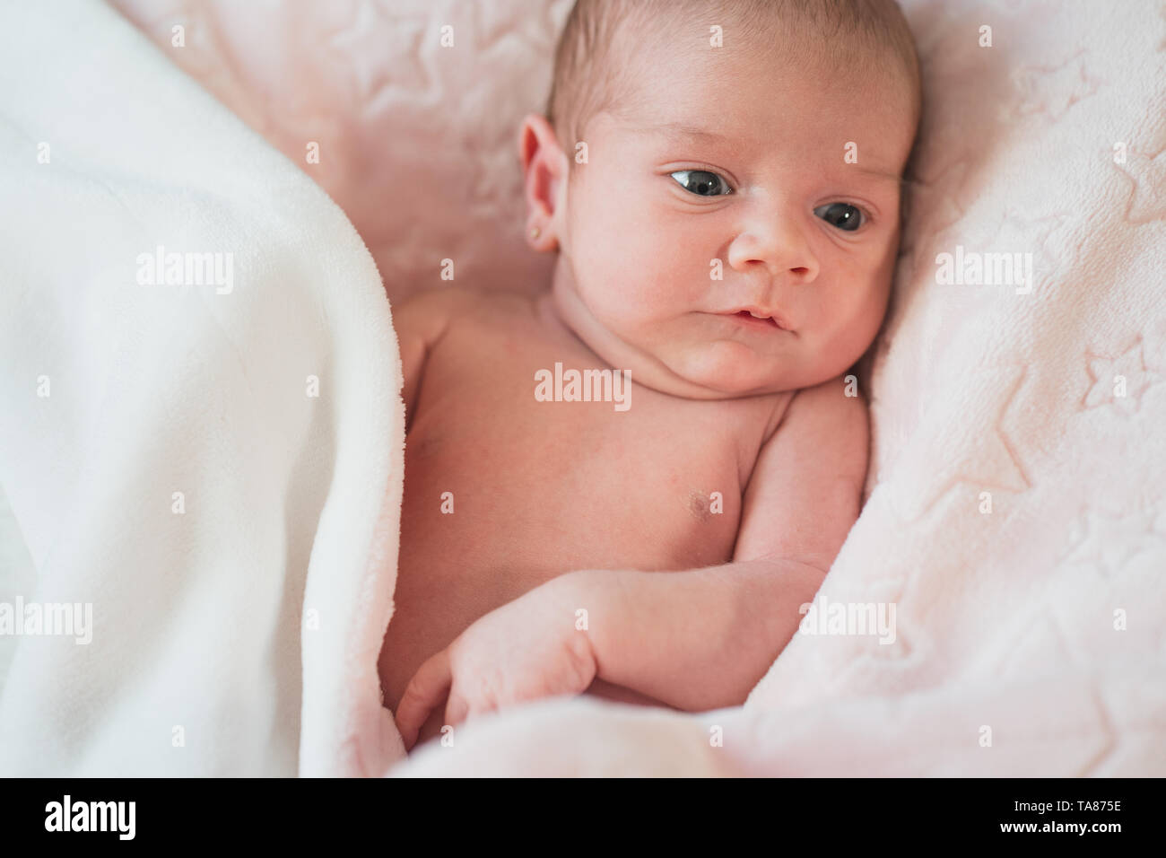 Carino adorabile neonato ragazza in un letto e avvolto in rosa coperta. Nuovo nato bambino e bambina guardando sorpreso per la fotocamera. Famiglia, vita nuova, Foto Stock