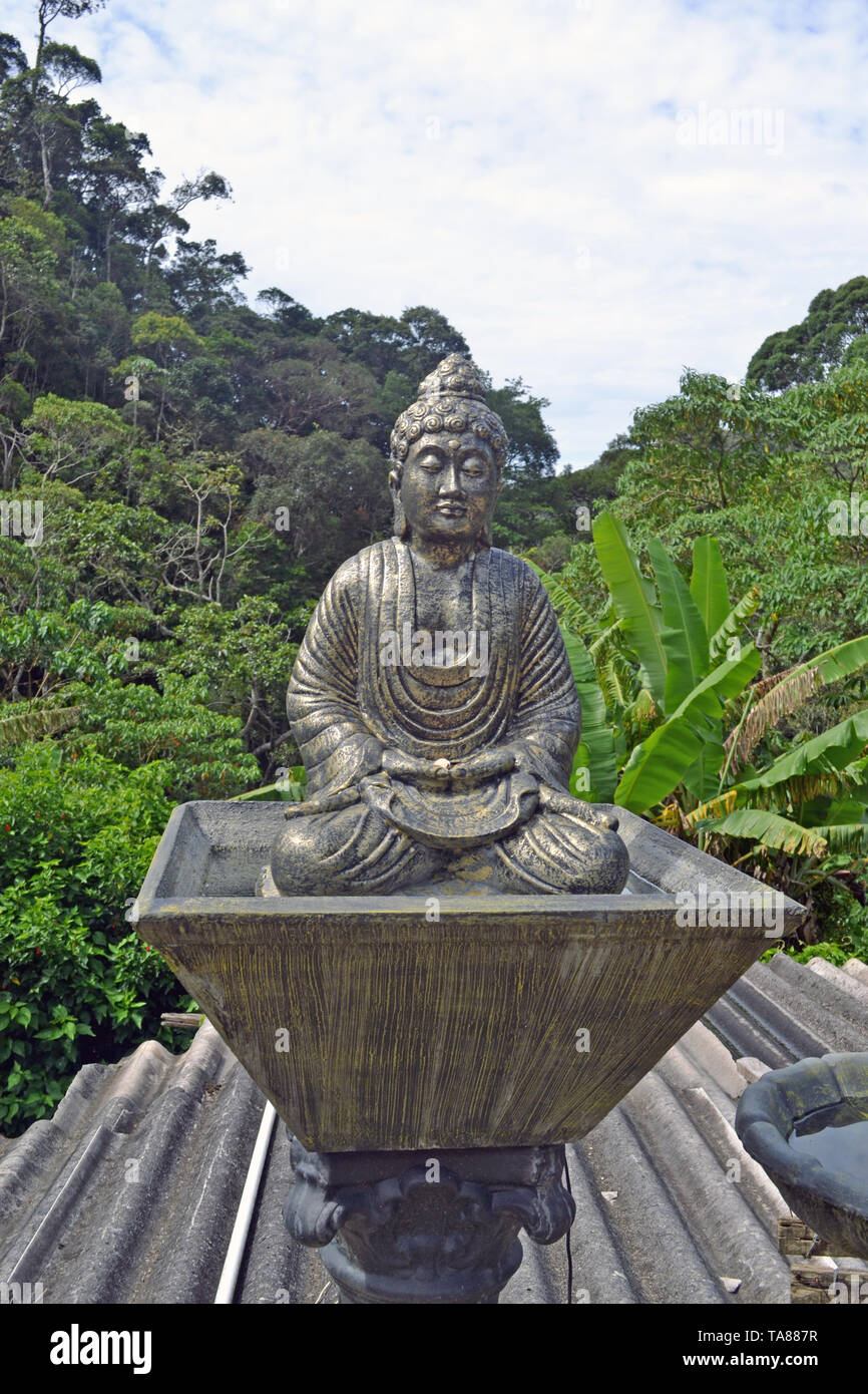 Statua di Buddha in meditazione al giardino giapponese Chandigarh India Foto Stock