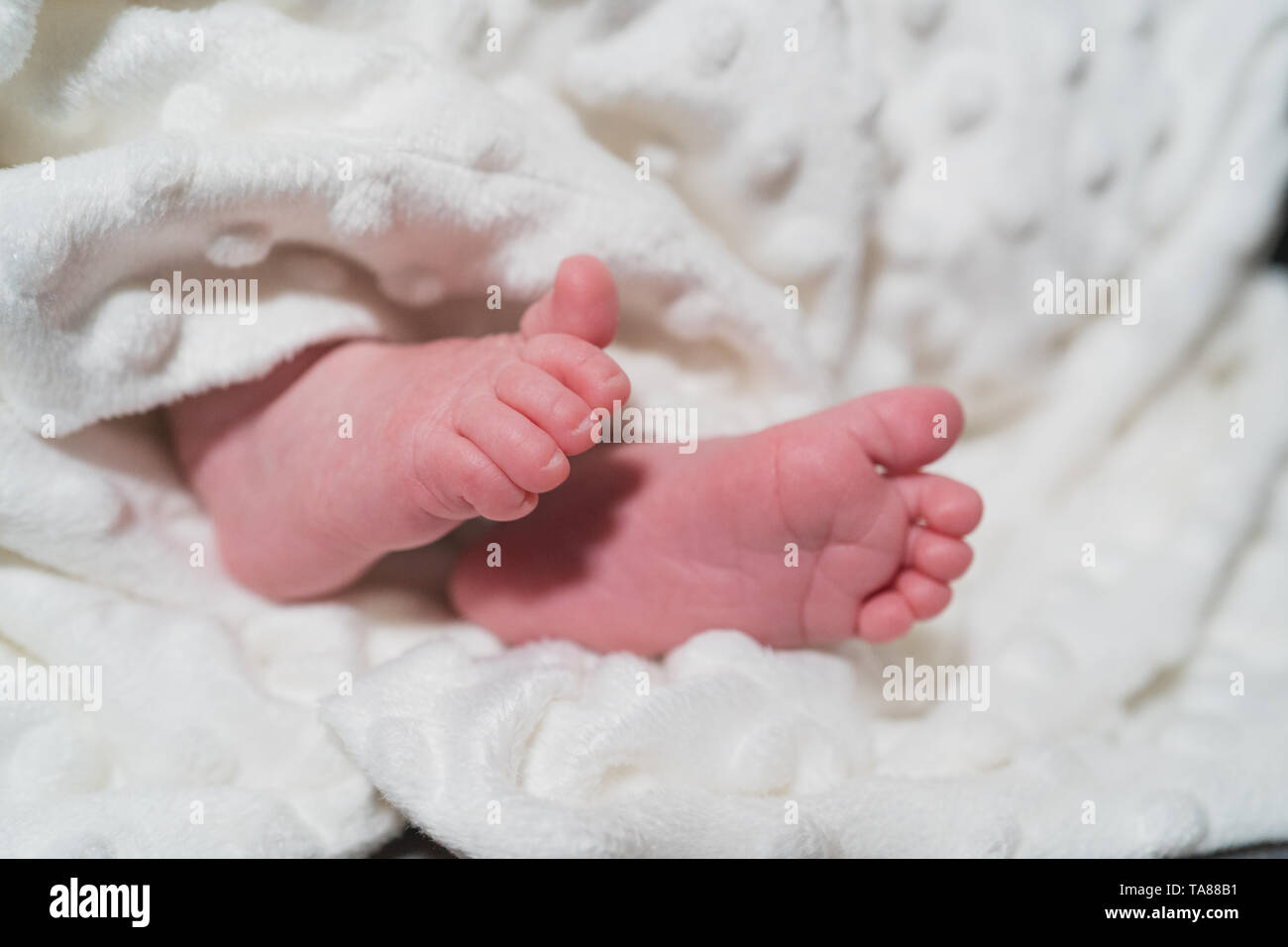 New Born Baby piccoli piedi su coltre bianca. Famiglia, vita nuova, infanzia, inizio concetto. Foto Stock