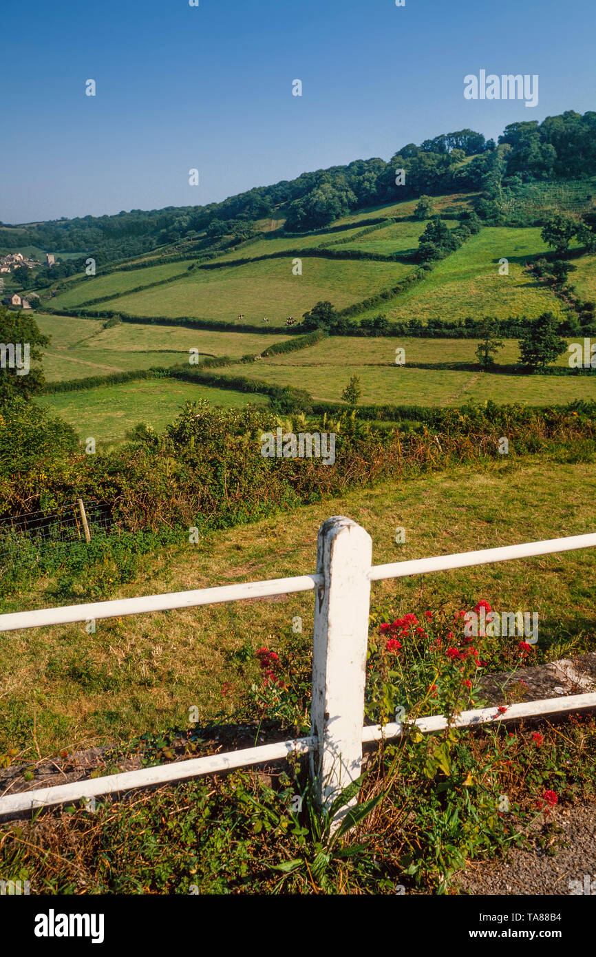 Devon UK, tranquilla campagna vista panoramica su seminativi con siepi divisorie, sole estivo Foto Stock