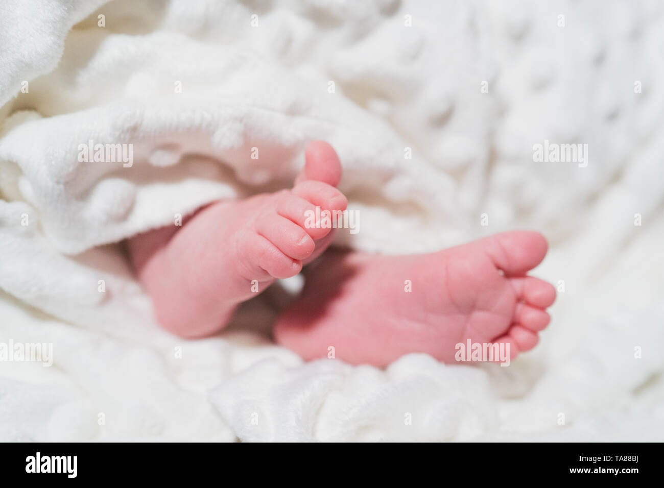 New Born Baby piccoli piedi su coltre bianca. Famiglia, vita nuova, infanzia, inizio concetto. Foto Stock