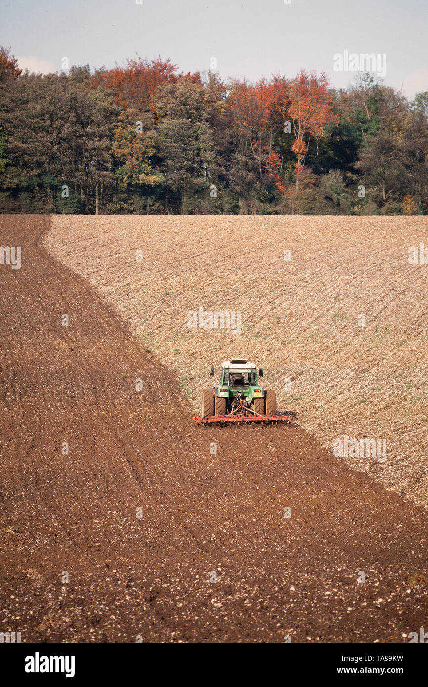 Agricoltura, trattore arare un campo arabile, bright sun. Foto Stock
