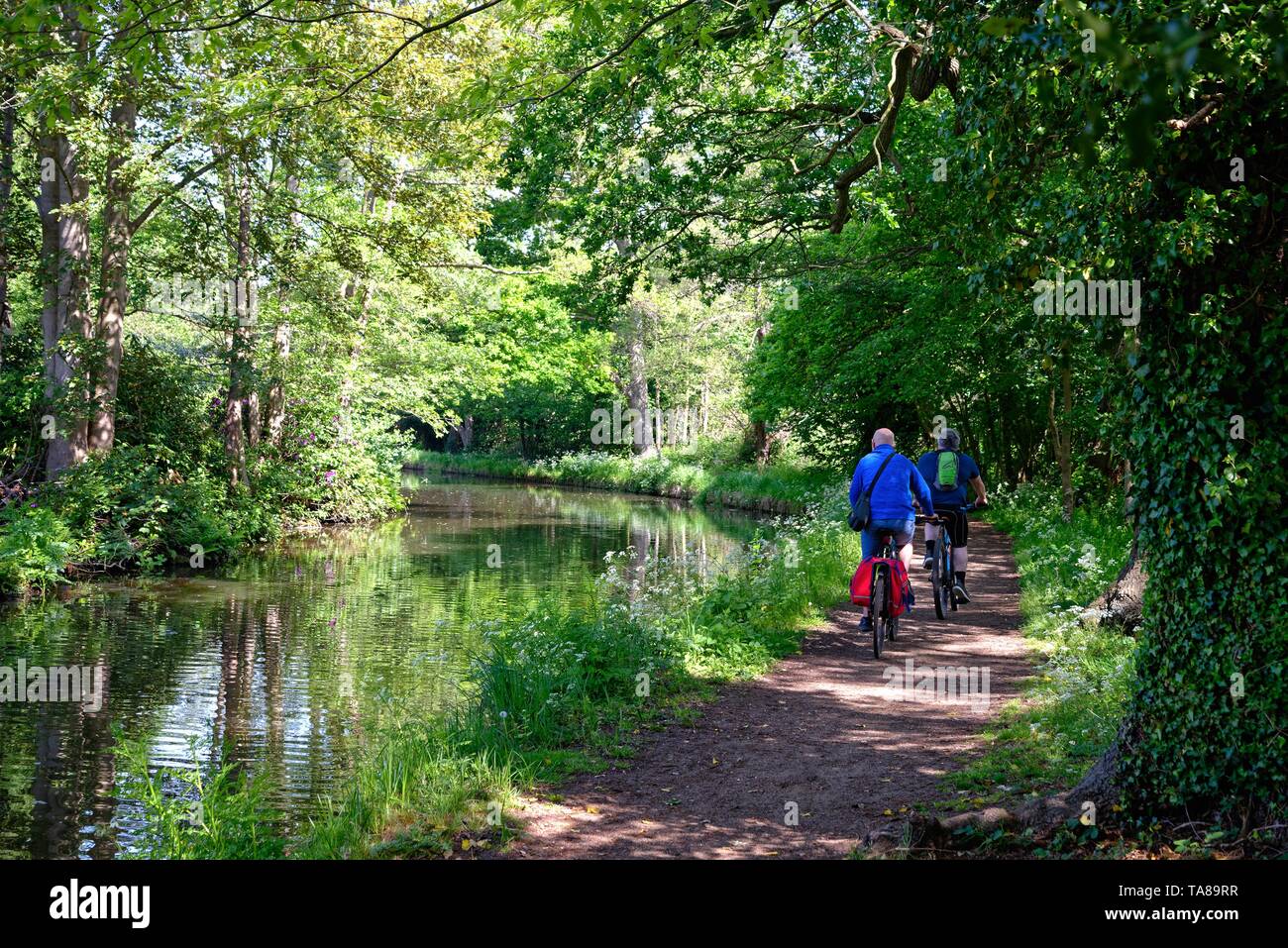 Ciclisti sul canale di navigazione River Wey in una giornata estiva, Byfleet Surrey Inghilterra UK Foto Stock