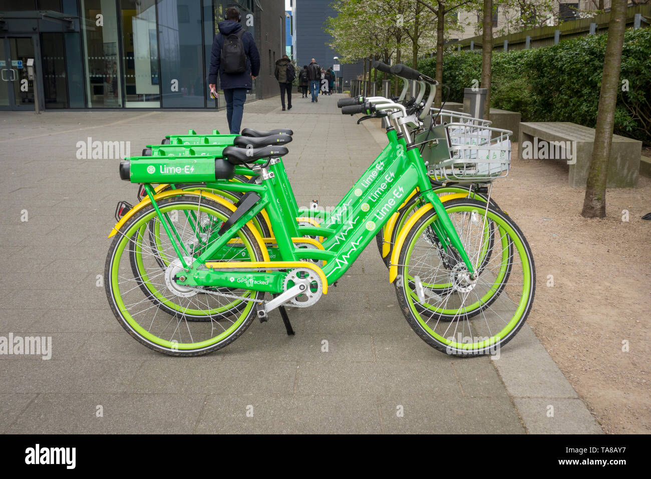 16 aprile 2019, North Acton, Londra. Lime e-assistere bike (elettrico assistere noleggio bici a regime) parcheggiato in una fila in North Acton, London, Regno Unito Foto Stock