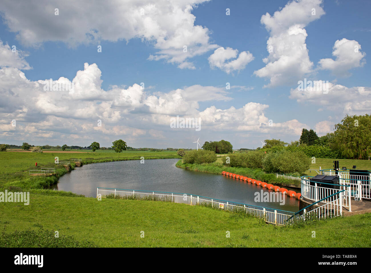 Il fiume Derwent a Barmby Barrage, Barmby sul Marsh, East Yorkshire, Inghilterra, Regno Unito Foto Stock