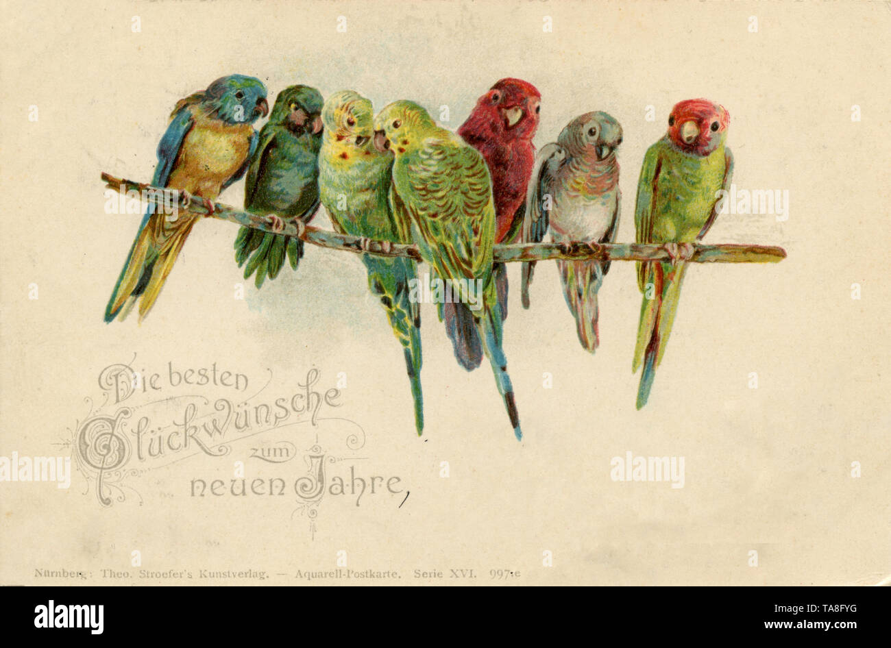 Pappagalli e altri piccoli pappagalli su un ramo , Theo Stroefers Kunstverlag (cartolina, ) Foto Stock