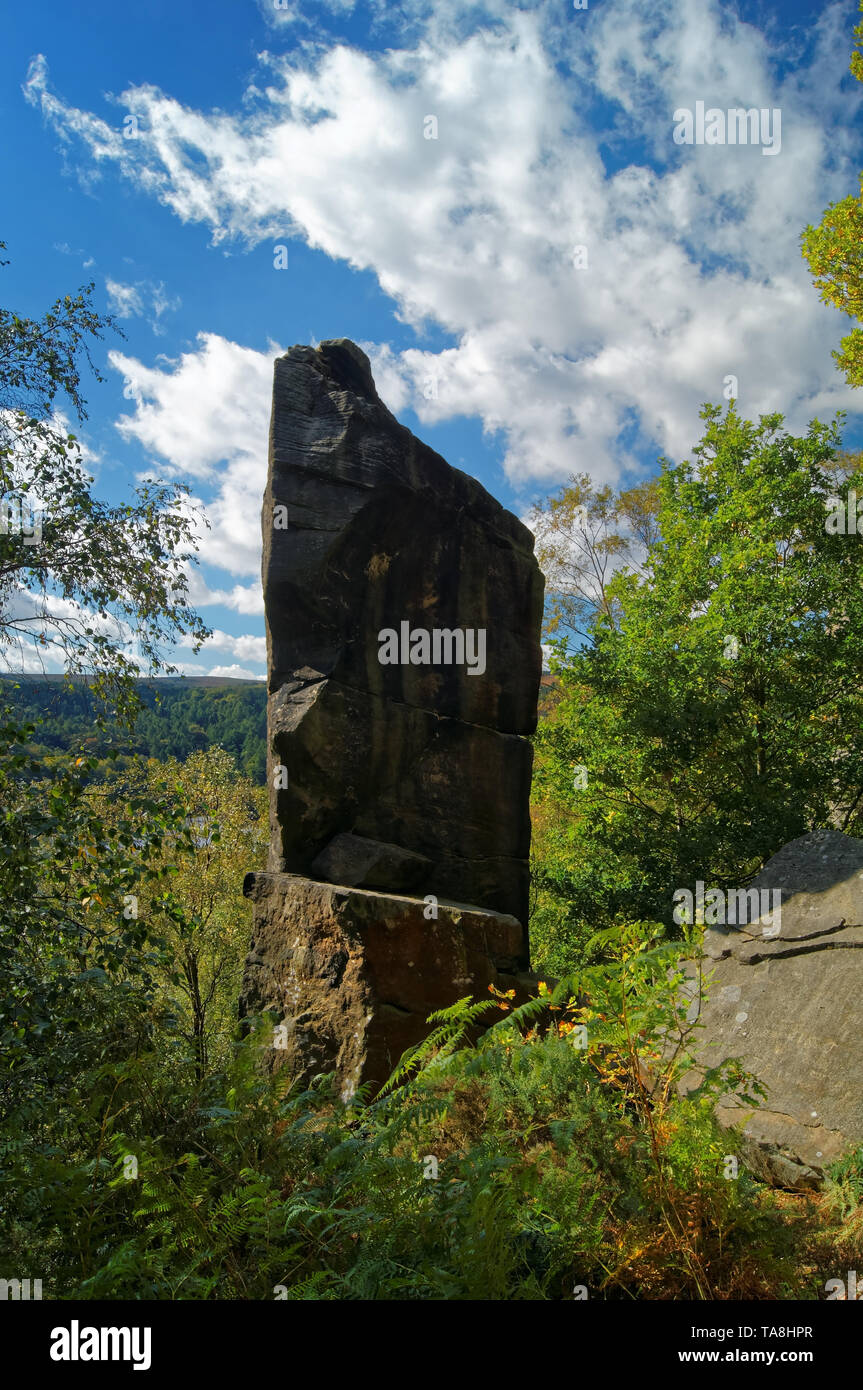 UK,South Yorkshire,Sheffield,Rivelin rocce,l'ago Foto Stock