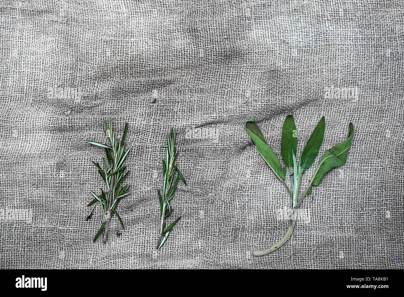 Fasci di erbe aromatiche spezie, sul lino grigio Sfondo. Rosmarino, timo,  coriandolo, salvia Foto stock - Alamy