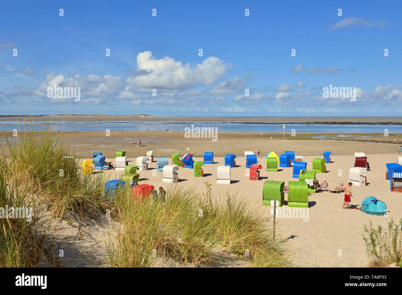 Spiaggia Spiaggia di sabbia con colorate sedie da spiaggia in Utersum, Fohr, Mare del Nord, Nord Frisone Isola, Frisia settentrionale, Schleswig-Holstein, Germania Foto Stock