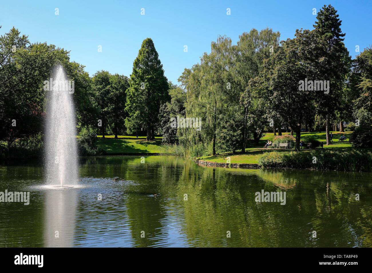 Area verde, il lago con acqua fontana nel giardino della città di Essen, la zona della Ruhr, Nord Reno-Westfalia, Germania Foto Stock