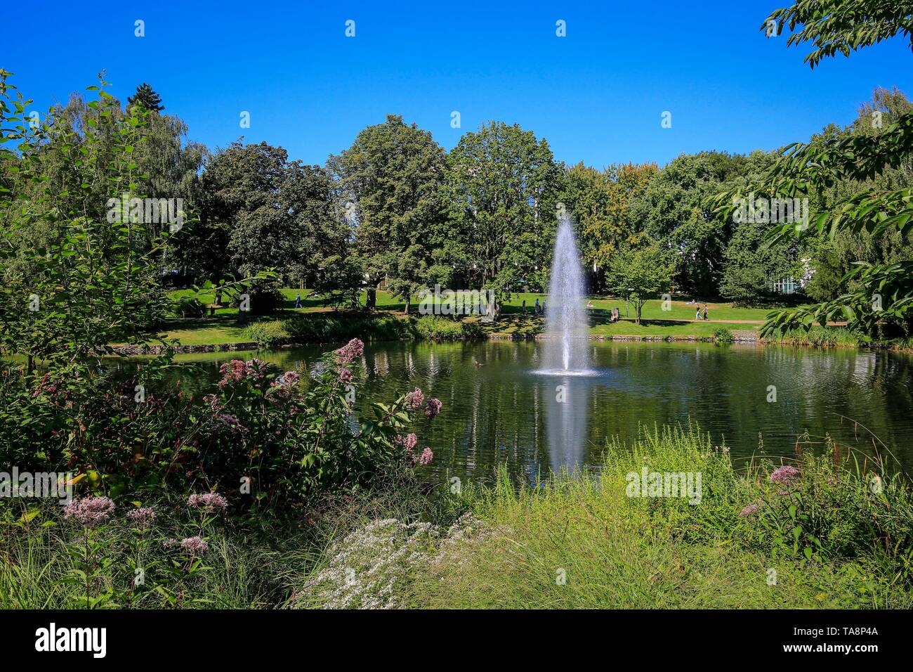 Area verde, il lago con acqua fontana nel giardino della città di Essen, la zona della Ruhr, Nord Reno-Westfalia, Germania Foto Stock