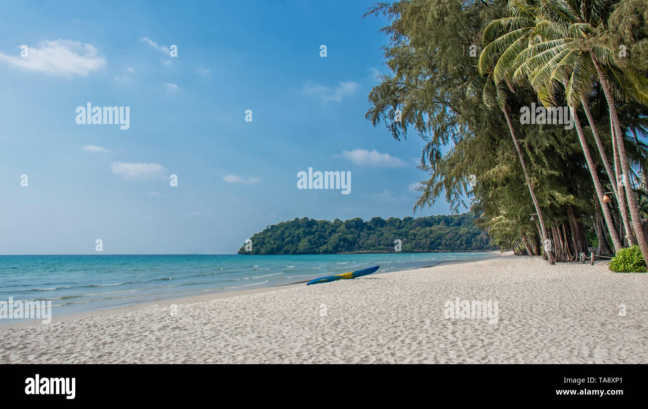 Paesaggio della bella spiaggia tropicale con palme da cocco albero. vacanza e vacanze estive concetto. Foto Stock