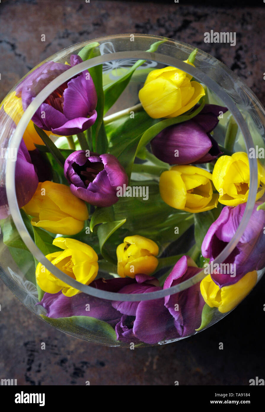 Round ciotola di vetro pieno di colori vivaci fioriture dei fiori Foto Stock