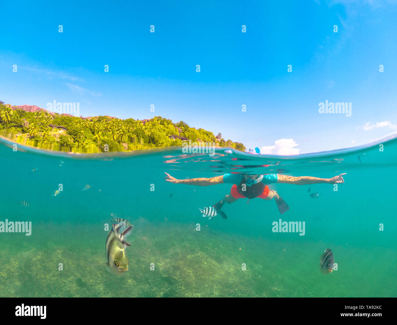 Vista divisa dell'apnea femminile sotto e sopra il mare. Donna di abbigliamento da snorkeling a Felicite, isola satellite la Digue, Seychelles. Stile di vita di viaggio Foto Stock