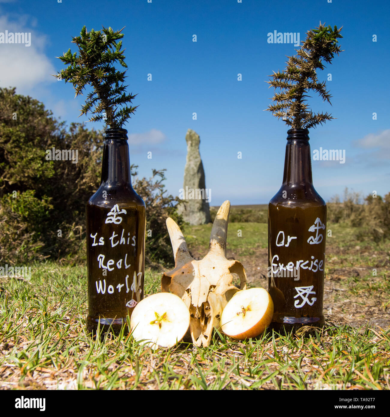 È questo il mondo reale o esercizio? Foto Stock
