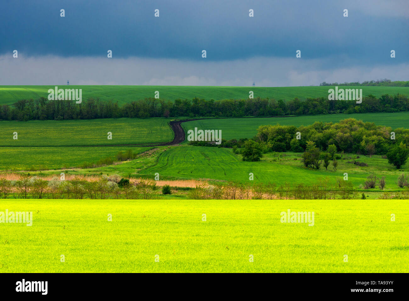 Bel tramonto, verde e campo giallo. Drammatico il cielo con le nuvole Foto Stock