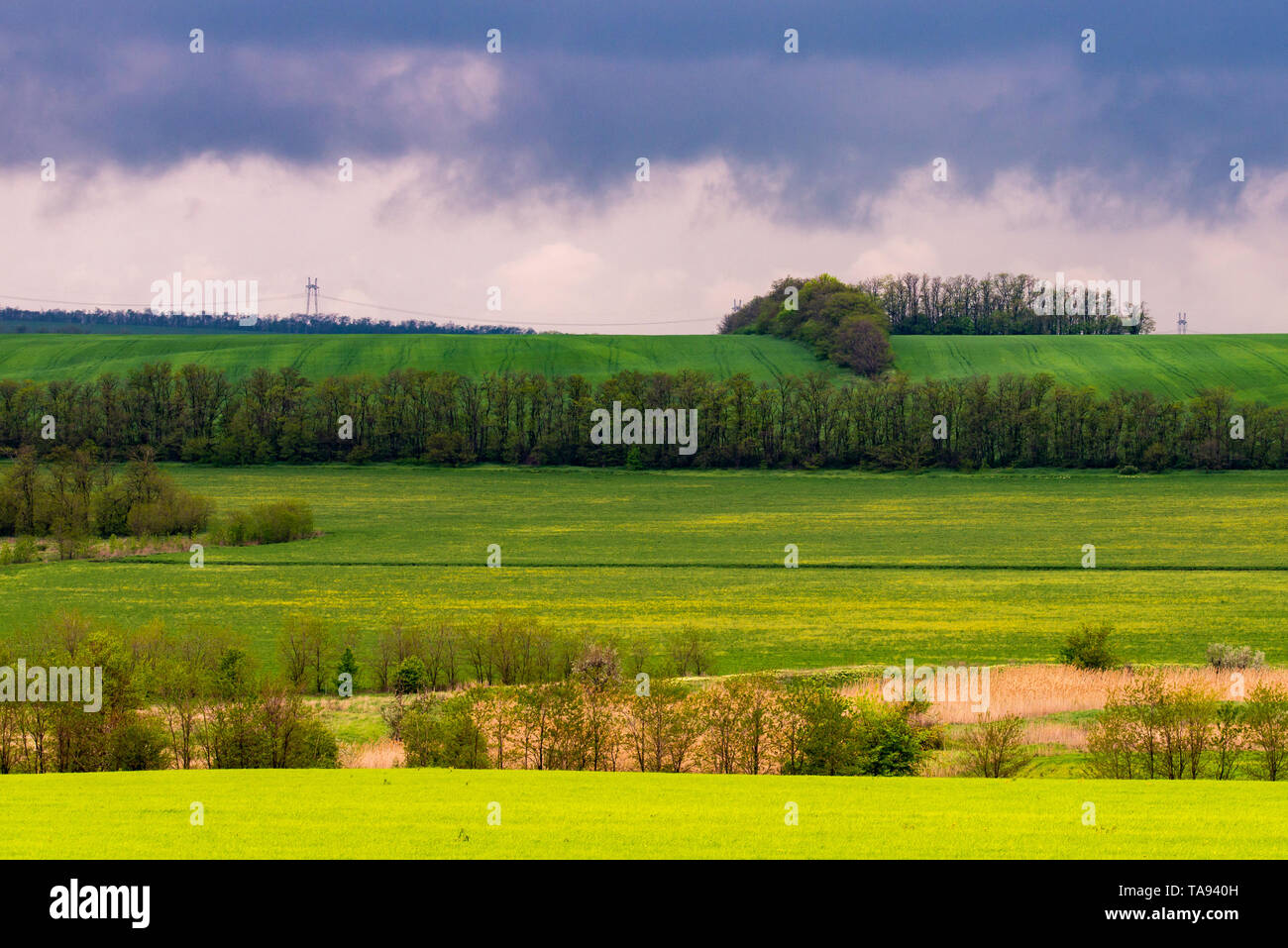 Bel tramonto, verde e campo giallo. Drammatico il cielo con le nuvole Foto Stock