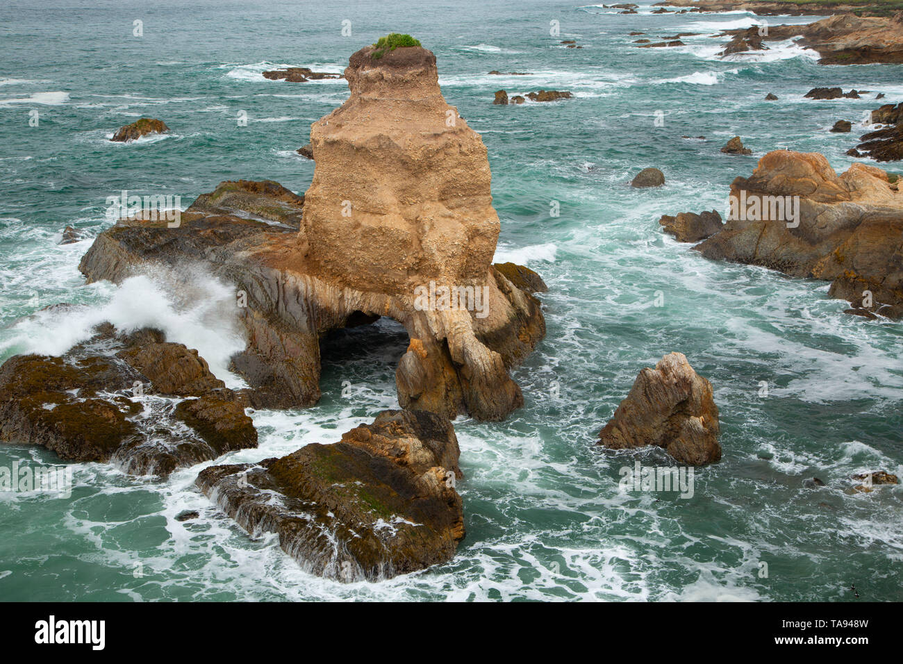 La grotta di roccia da Bluff Trail, Montana de Oro State Park, California Foto Stock