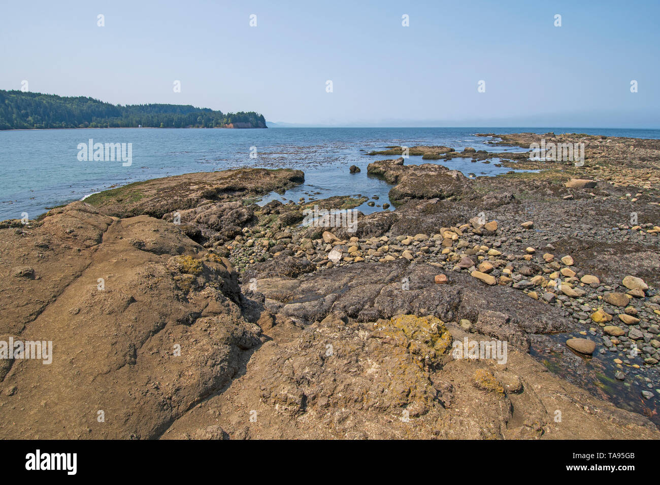 La bassa marea su una costa rocciosa a linguetta punto sulla costa della Penisola Olimpica a Salt Creek Recreation Area di Washington Foto Stock