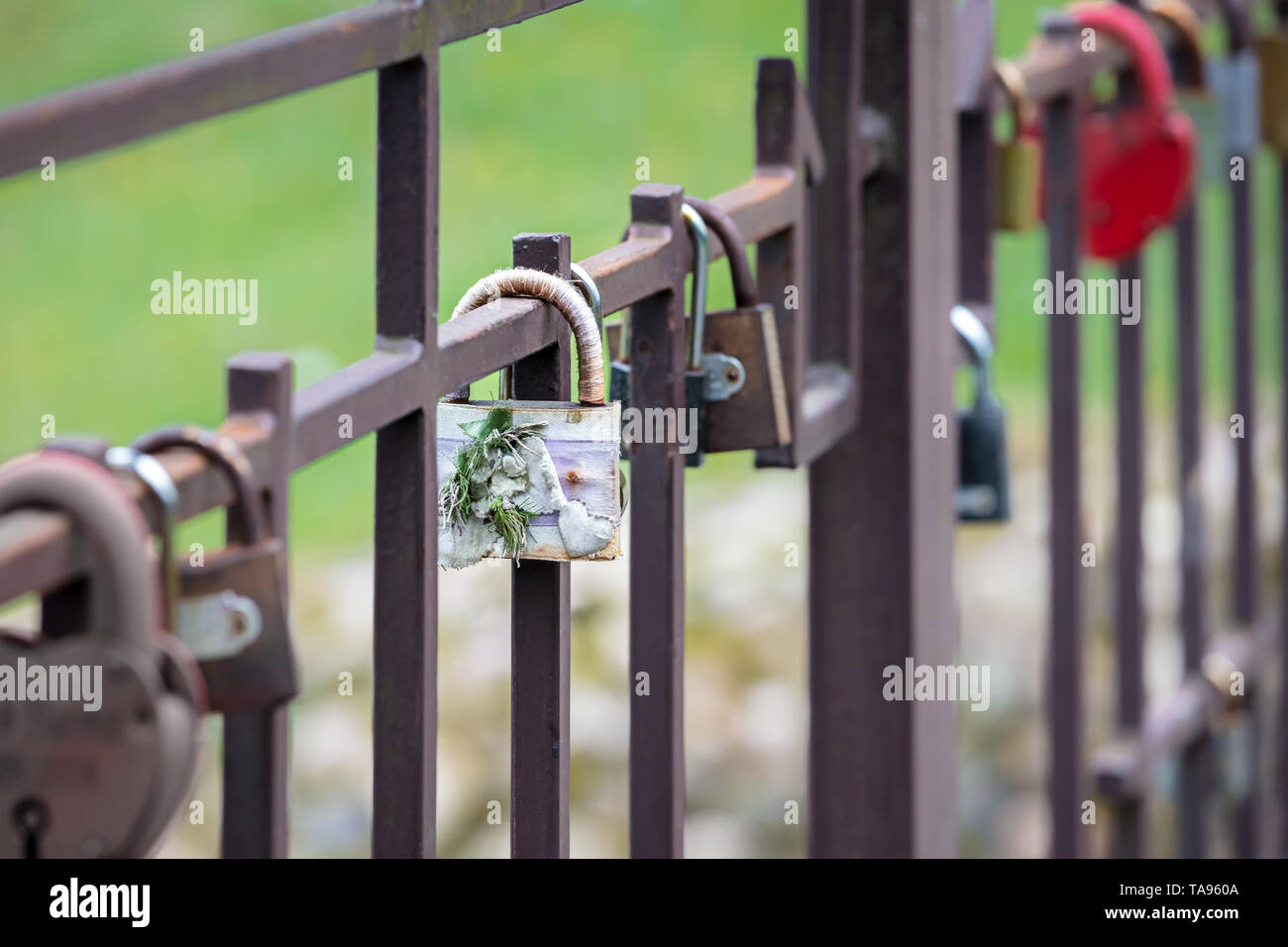Bellissimo matrimonio lucchetto sulla ringhiera del ponte decorato con cuore. il simbolo dell'amore Foto Stock