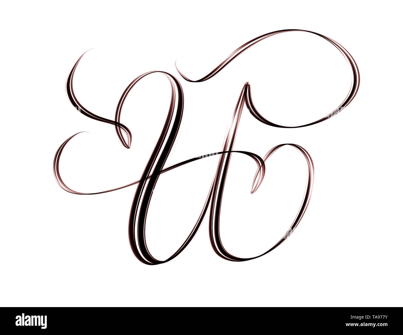 Script di capitale lettera U con fiorenti isolati su sfondo bianco Foto Stock