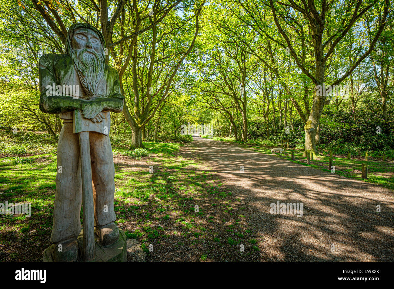 Un intaglio di un boscaiolo sta di guardia all'entrata di primavera nel bosco Charnwood Forest. Foto Stock