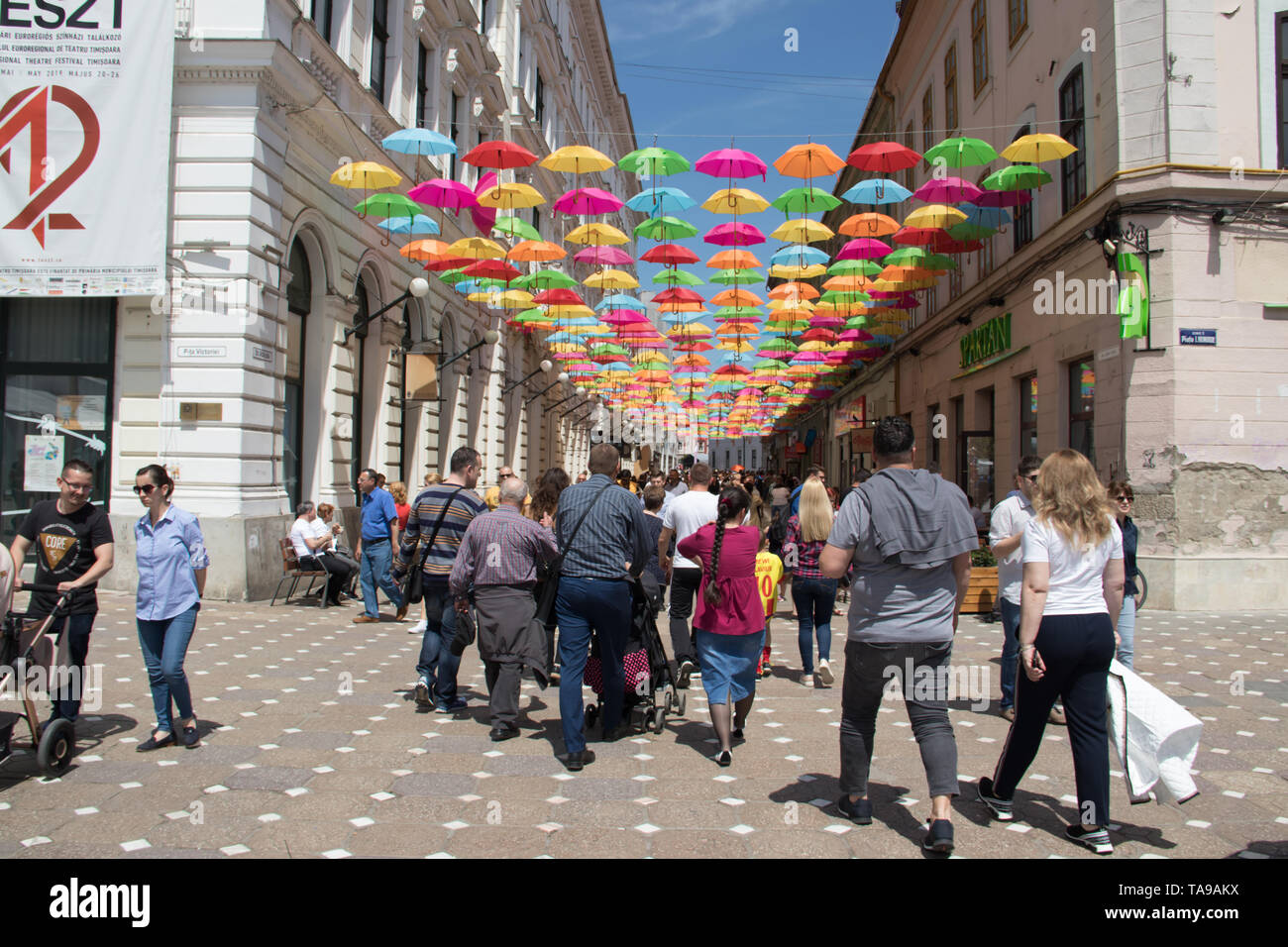 Ombrelloni colorati decorazione nelle strade della città di Timisoara, Romania Foto Stock