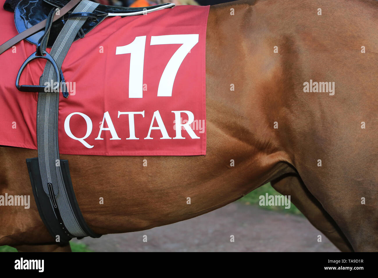 Qatar - Prezzo Arc de Triomphe. Foto Stock