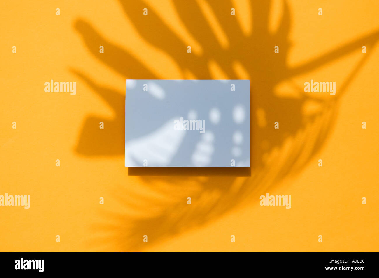 Monstera tropicale di foglie di palma ombra su una carta bianca telaio. Orange estate poster. Foto Stock