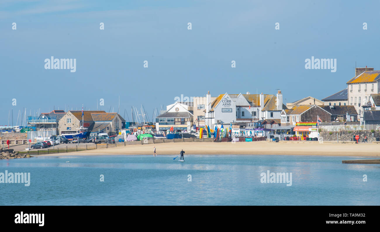 Lyme Regis, Dorset, Regno Unito. Il 23 maggio 2019. Regno Unito: Meteo una gloriosa mattina presso la pittoresca spiaggia della località balneare di Lyme Regis. Il popolare resort è calmo e tranquillo oggi in vista delle prossime vacanze di maggio. Un lone paddle boarder sfrutta le condizioni pacifiche. Folle di visitatori sono attesi al gregge per la famosa spiaggia di La prossima settimana a crogiolarvi nel mite clima che è stato meteo di tutta la costa sud dell'Inghilterra. Credito: Celia McMahon/Alamy Live News. Foto Stock