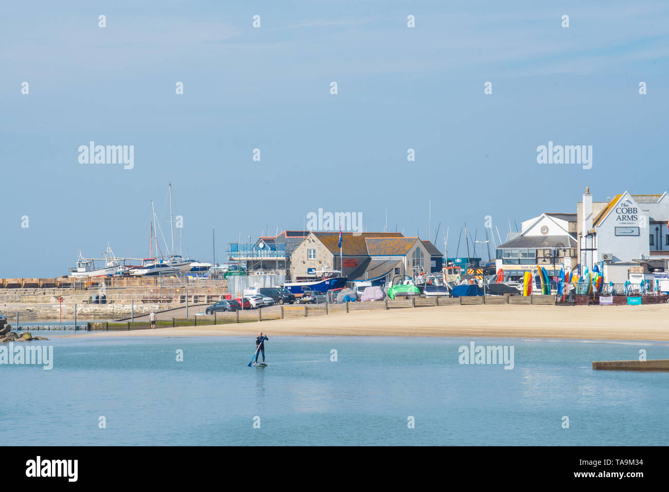 Lyme Regis, Dorset, Regno Unito. Il 23 maggio 2019. Regno Unito: Meteo una gloriosa mattina presso la pittoresca spiaggia della località balneare di Lyme Regis. Il popolare resort è calmo e tranquillo oggi in vista delle prossime vacanze di maggio. Un lone paddle boarder sfrutta le condizioni pacifiche. Folle di visitatori sono attesi al gregge per la famosa spiaggia di La prossima settimana a crogiolarvi nel mite clima che è stato meteo di tutta la costa sud dell'Inghilterra. Credito: Celia McMahon/Alamy Live News. Foto Stock