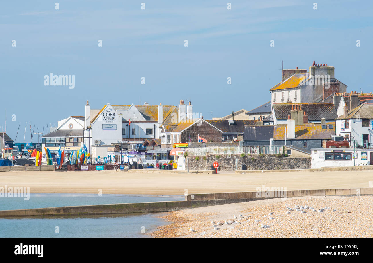 Lyme Regis, Dorset, Regno Unito. Il 23 maggio 2019. Regno Unito: Meteo una gloriosa mattina presso la pittoresca spiaggia della località balneare di Lyme Regis. Il popolare resort è calmo e tranquillo oggi in vista delle prossime vacanze di maggio. Folle di visitatori sono attesi al gregge per la famosa spiaggia di La prossima settimana a crogiolarvi nel mite clima che è stato meteo di tutta la costa sud dell'Inghilterra. Credito: Celia McMahon/Alamy Live News. Foto Stock