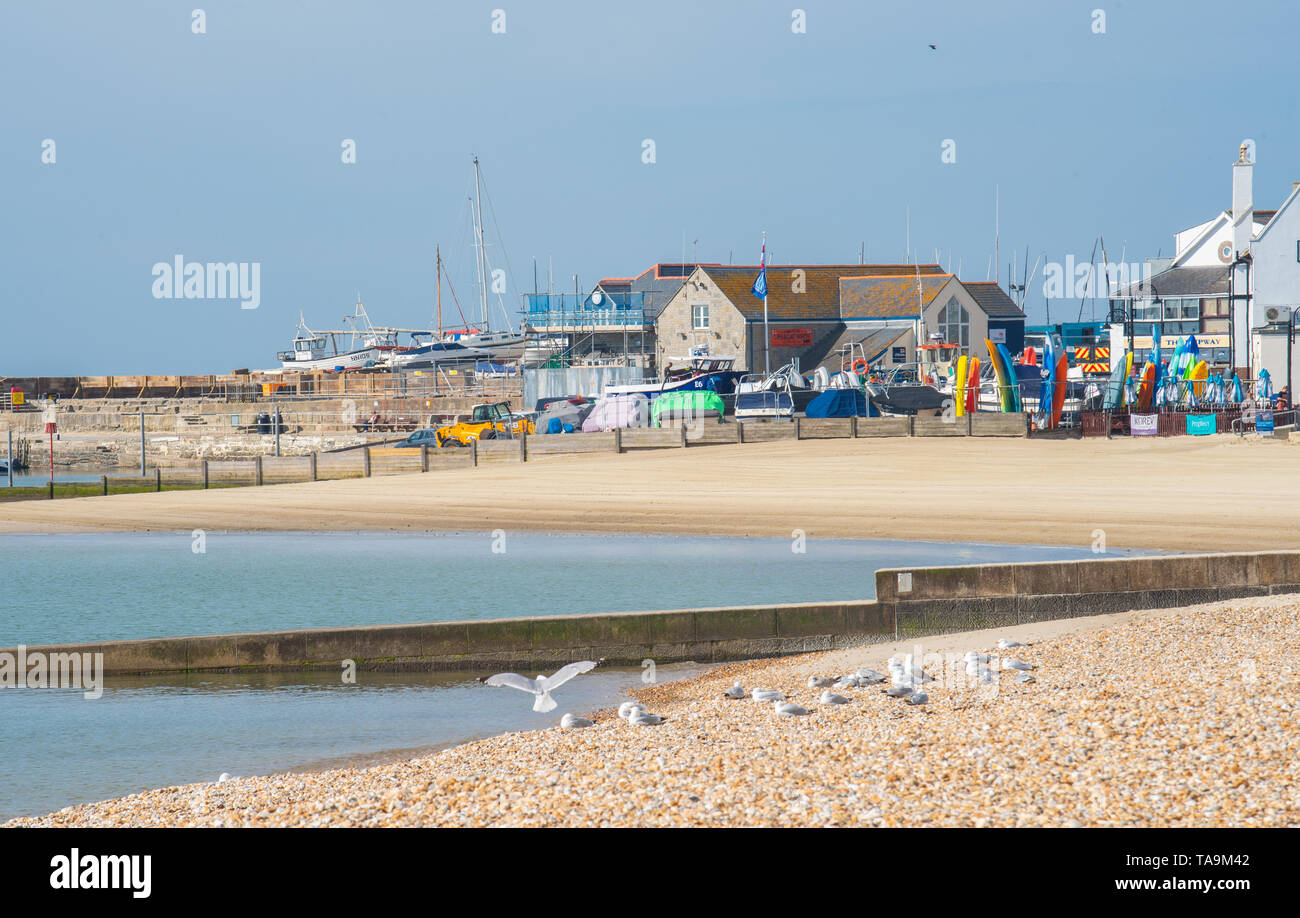 Lyme Regis, Dorset, Regno Unito. Il 23 maggio 2019. Regno Unito: Meteo una gloriosa mattina presso la pittoresca spiaggia della località balneare di Lyme Regis. Il popolare resort è calmo e tranquillo oggi in vista delle prossime vacanze di maggio. Folle di visitatori sono attesi al gregge per la famosa spiaggia di La prossima settimana a crogiolarvi nel mite clima che è stato meteo di tutta la costa sud dell'Inghilterra. Credito: Celia McMahon/Alamy Live News. Foto Stock