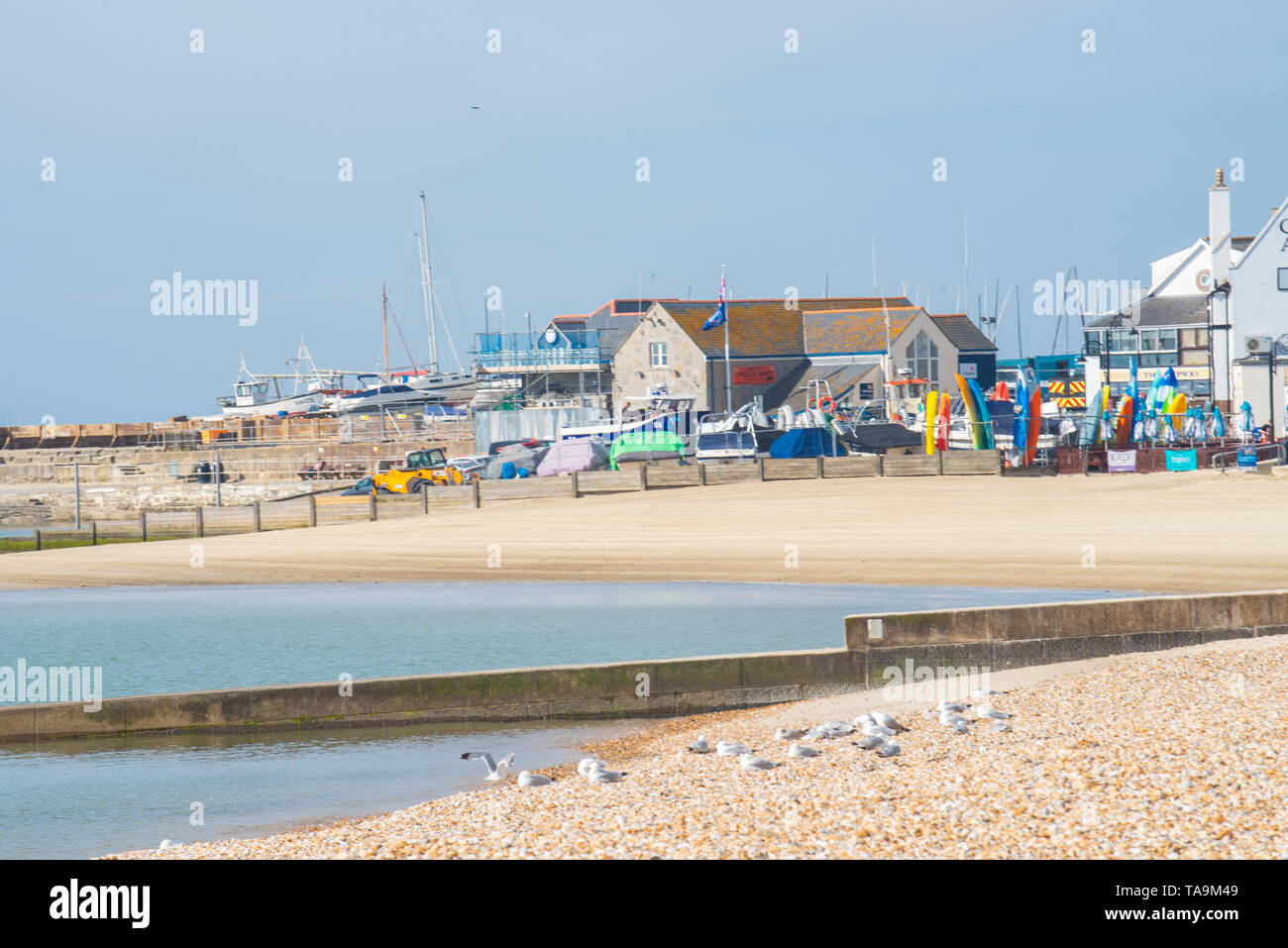 Lyme Regis, Dorset, Regno Unito. Il 23 maggio 2019. Regno Unito: Meteo una gloriosa mattina presso la pittoresca spiaggia della località balneare di Lyme Regis. Il popolare resort è calmo e tranquillo oggi in vista delle prossime vacanze di maggio. Folle di visitatori sono attesi al gregge per la famosa spiaggia di La prossima settimana a crogiolarvi nel mite clima che è stato meteo di tutta la costa sud dell'Inghilterra. Credito: Celia McMahon/Alamy Live News. Foto Stock